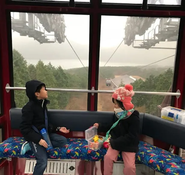 Inside a Hakone Ropeway cabin