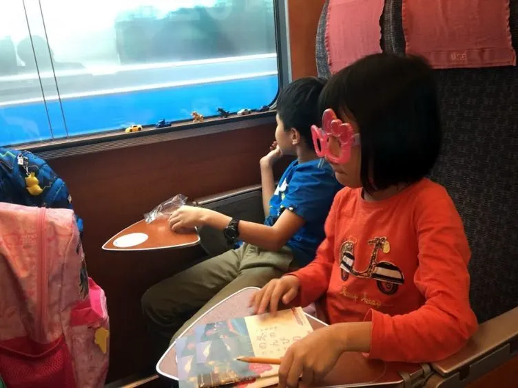 Lunch on the Romancecar train to Hakone