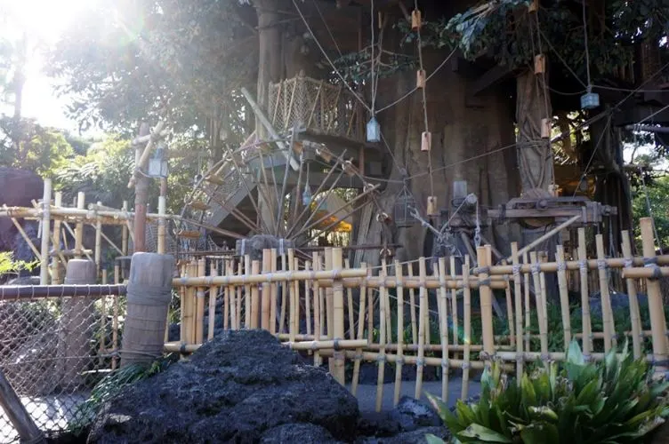The tree house at Disneyland